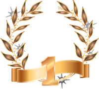 RANK BADGE 1