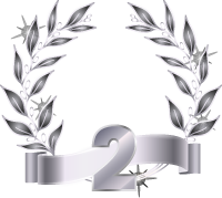 RANK BADGE 2